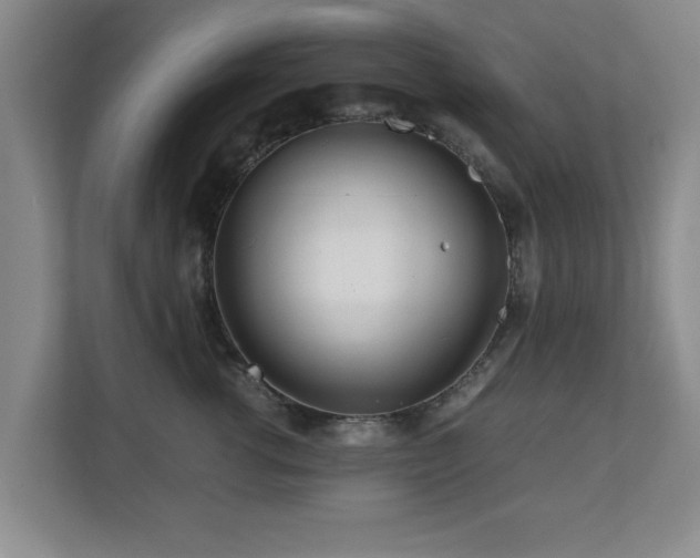 X0000110950762200906191250