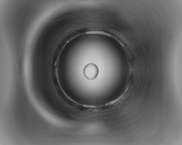 X0000110950764200906191250