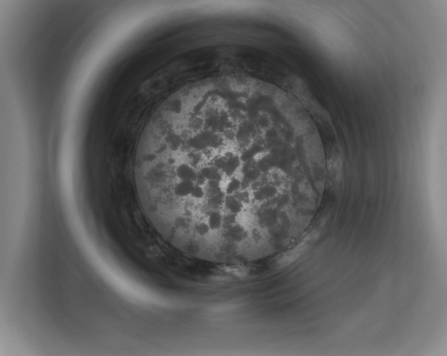 X0000110950765200906191250