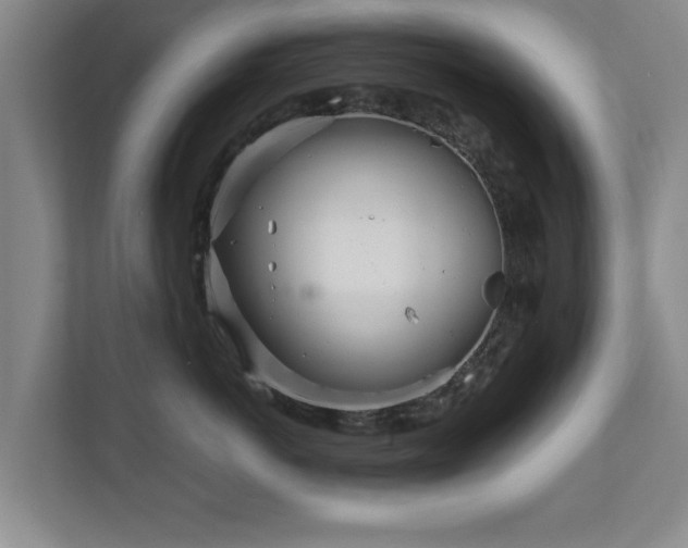 X0000110950766200906191250