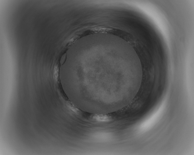 X0000110950767200906191250