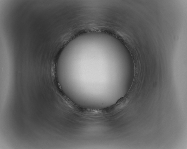 X0000110950768200906191250
