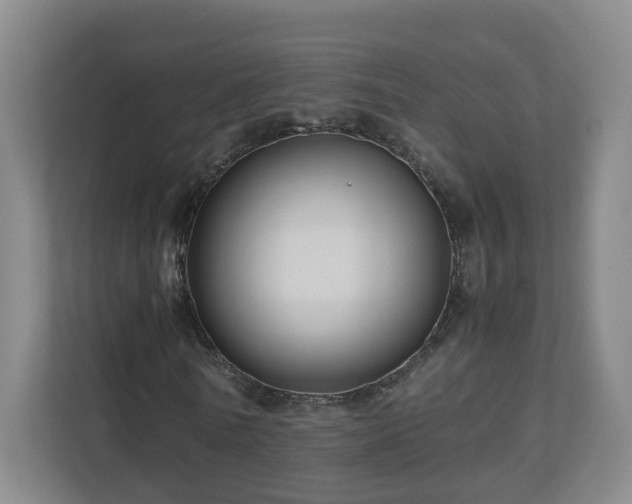 X0000110950770200906191250