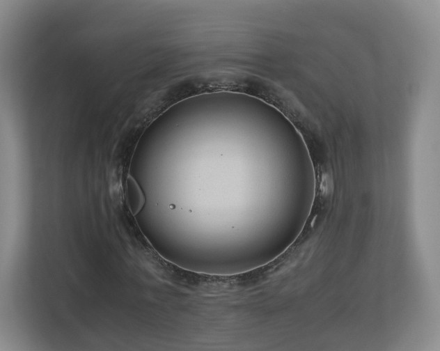 X0000110950771200906191250