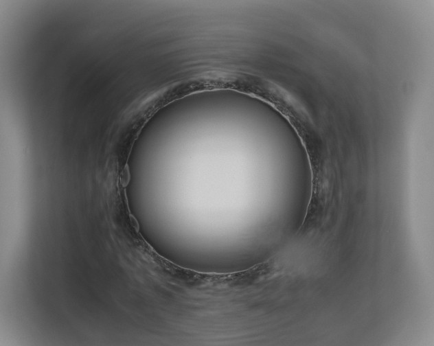 X0000110950773200906191250