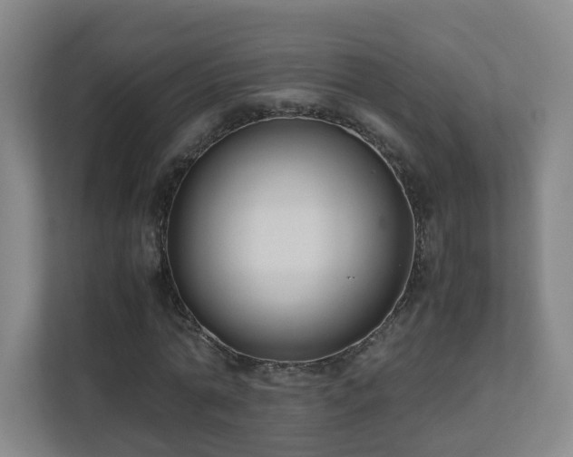 X0000110950774200906191250