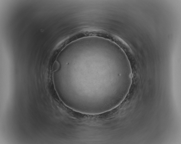 X0000110950775200906191250