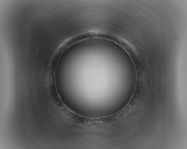 X0000110950776200906191250