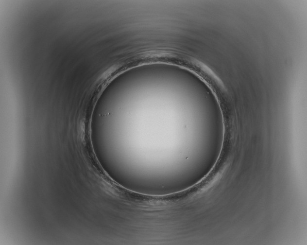 X0000110950777200906191250