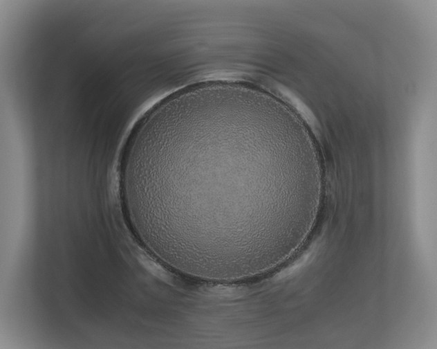 X0000110950779200906191250