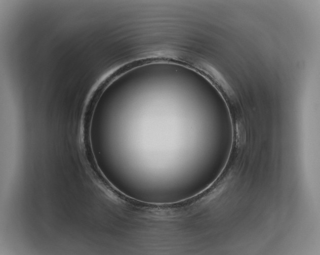 X0000110950780200906191250
