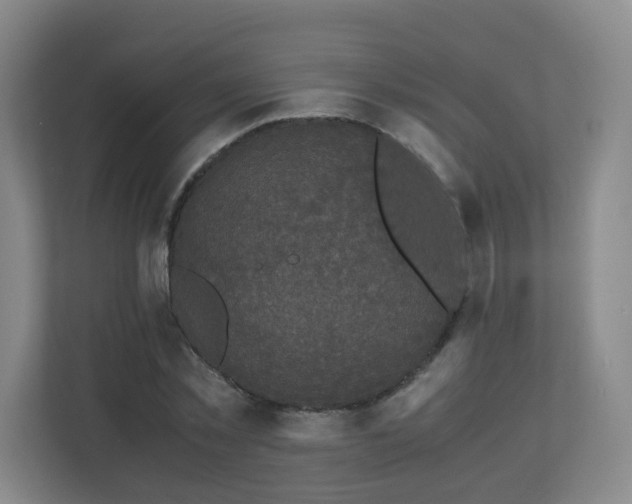 X0000110950781200906191250