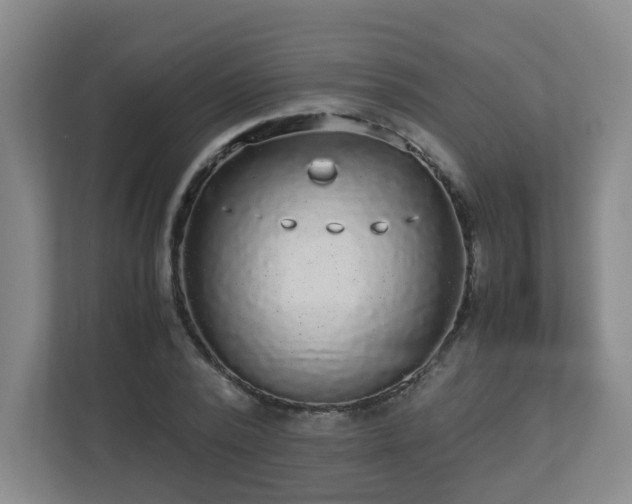 X0000110950784200906191250
