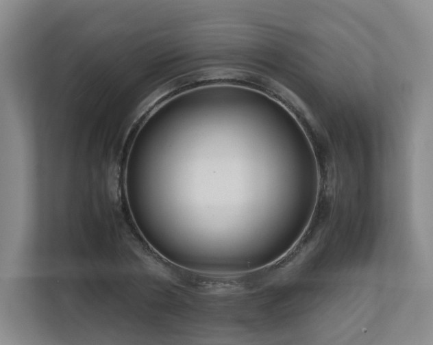 X0000110950786200906191250
