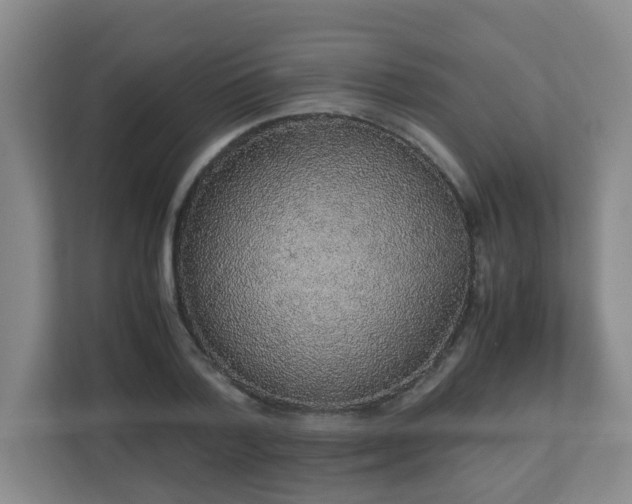 X0000110950788200906191250