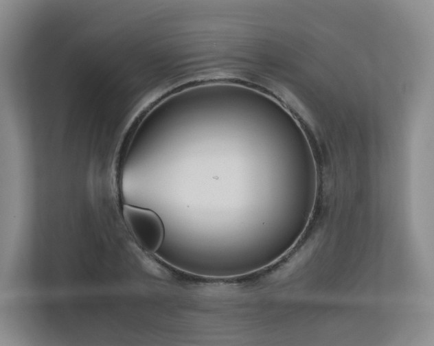 X0000110950789200906191250