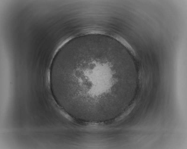 X0000110950790200906191250