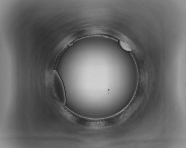 X0000110950793200906191249