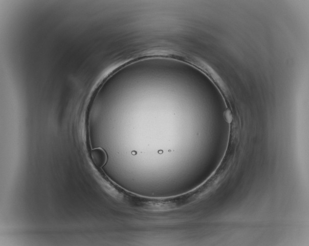 X0000110950795200906191249