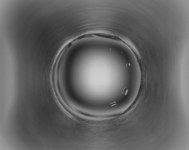 X0000110950805200906191249