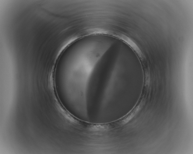 X0000110950806200906191249