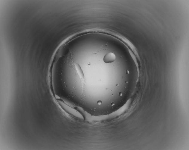 X0000110950807200906191249