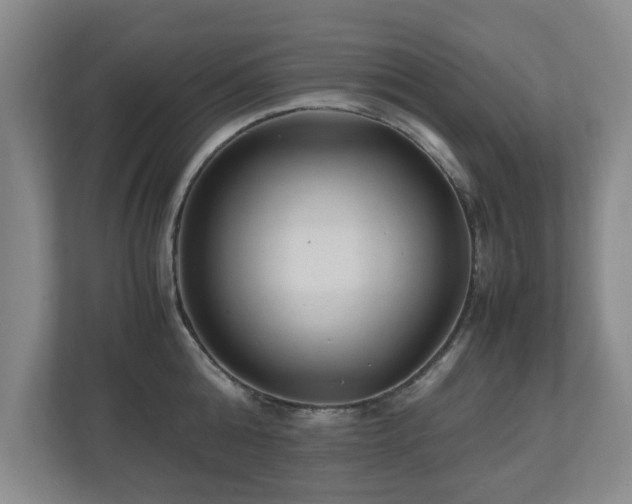 X0000110950808200906191249
