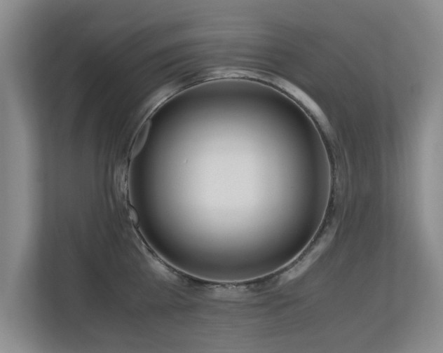 X0000110950809200906191249