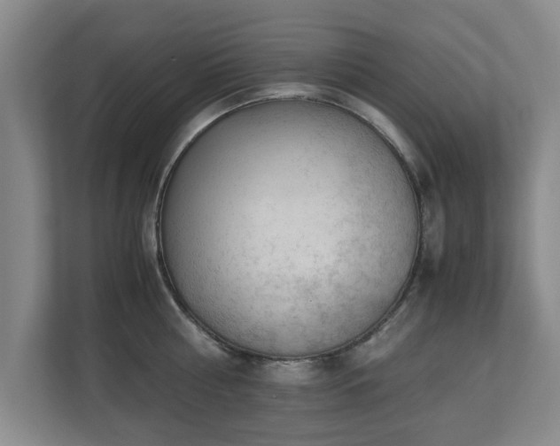 X0000110950810200906191249