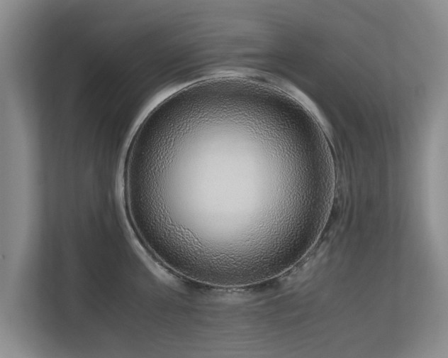 X0000110950811200906191249