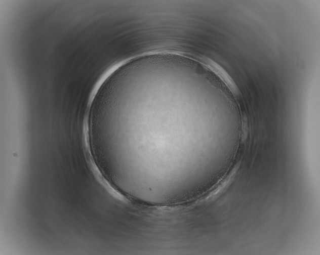 X0000110950812200906191249