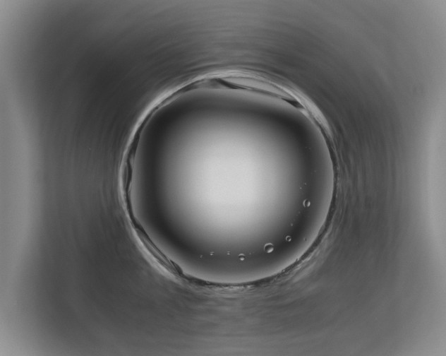 X0000110950813200906191249