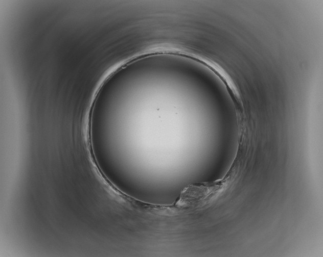X0000110950815200906191249