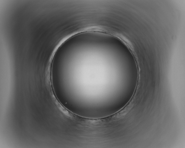 X0000110950816200906191249