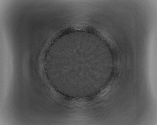 X0000110950817200906191249
