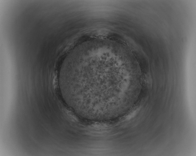 X0000110950818200906191249