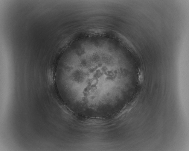 X0000110950819200906191249