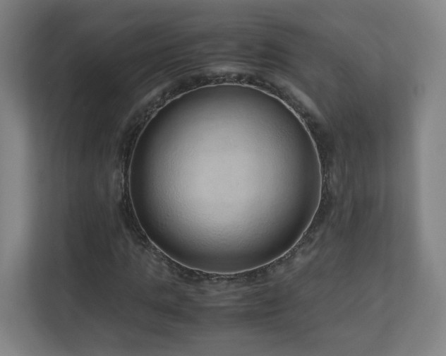 X0000110950821200906191249