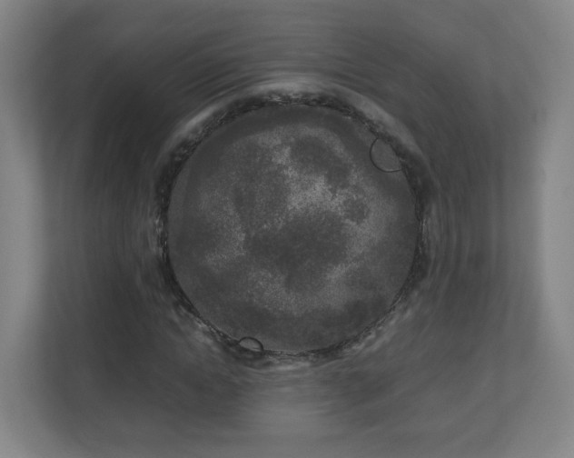 X0000110950822200906191249