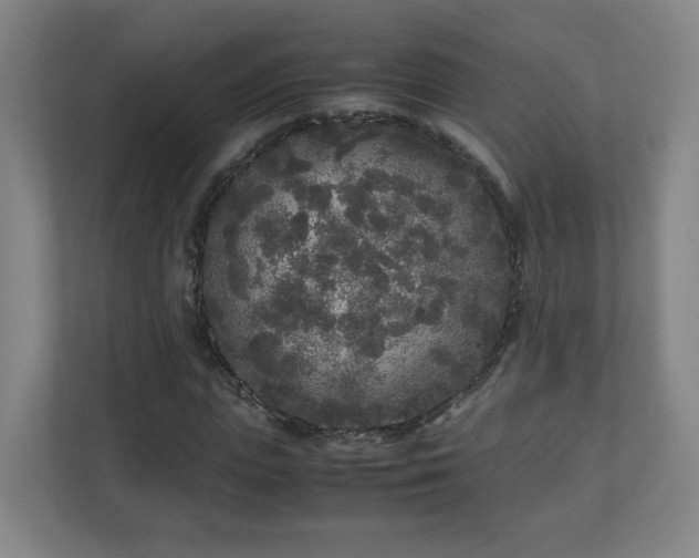X0000110950823200906191249