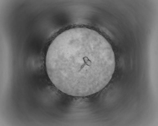 X0000110950824200906191249