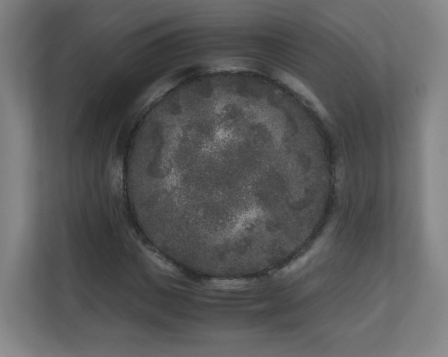X0000110950825200906191249