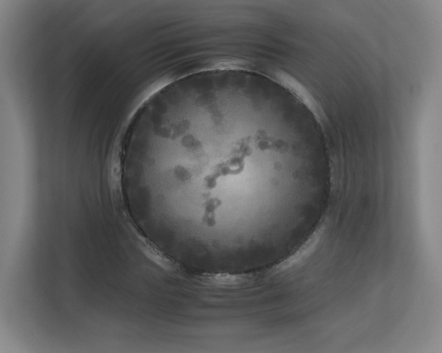 X0000110950827200906191249