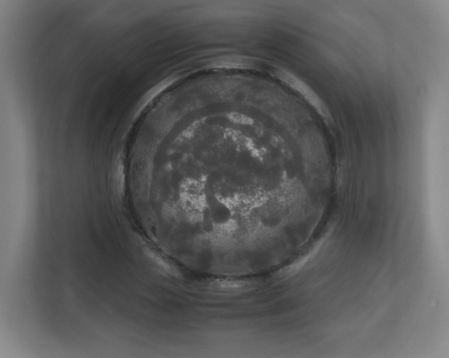 X0000110950829200906191249