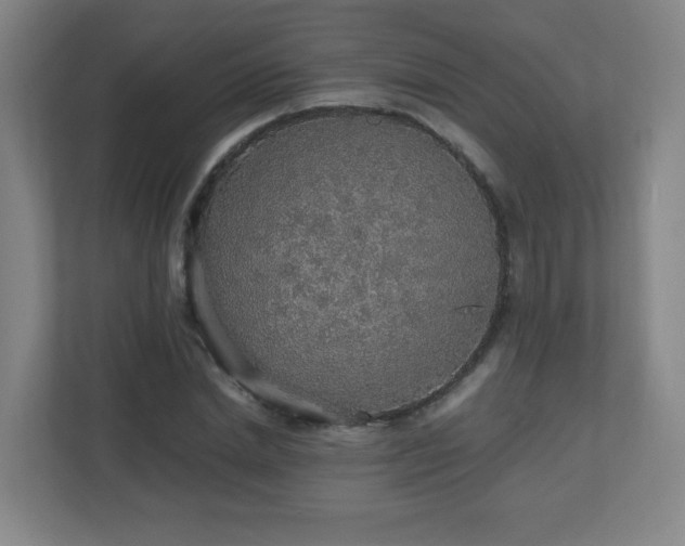 X0000110950830200906191249