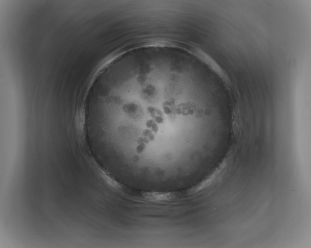 X0000110950831200906191249
