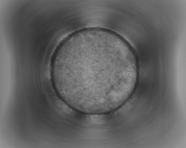 X0000110950832200906191249
