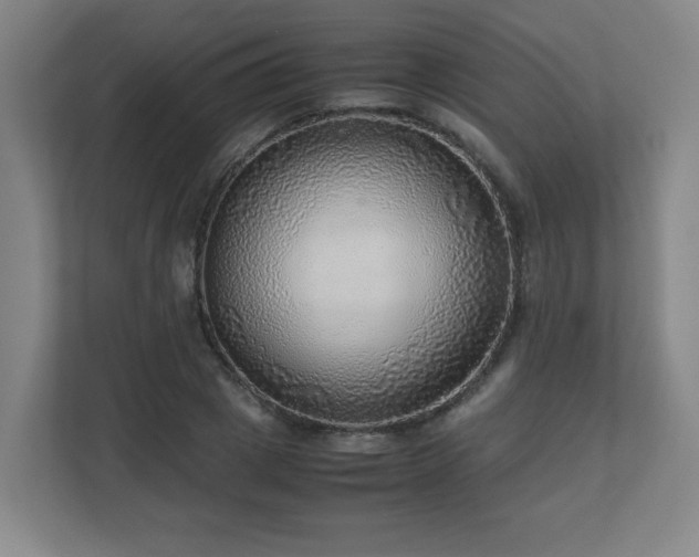 X0000110950833200906191249