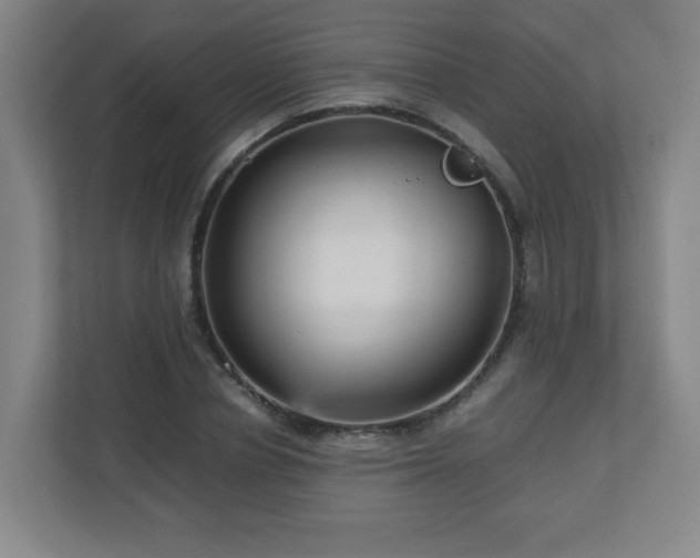 X0000110950834200906191249