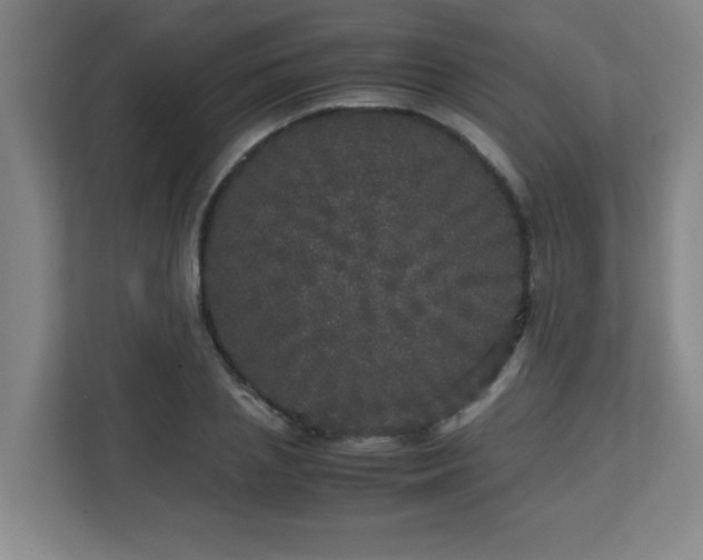 X0000110950837200906191249